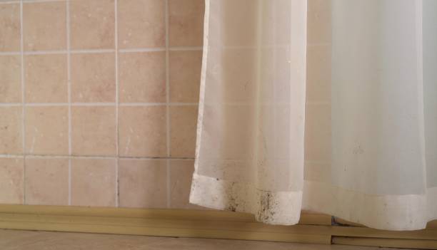 Best Indoor Air Quality Assessment  in Greensboro, GA