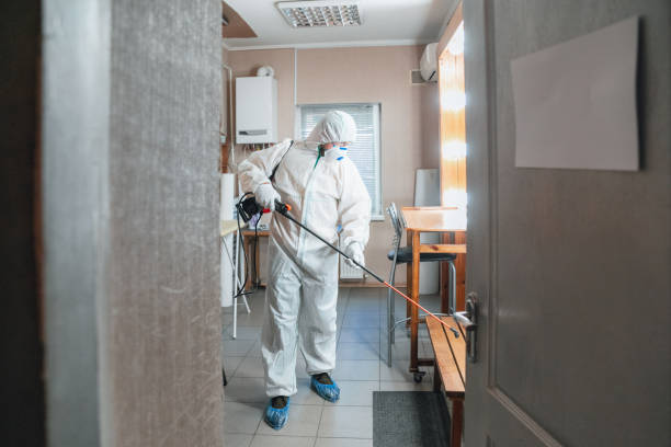 Trusted Greensboro, GA Mold Removal Experts