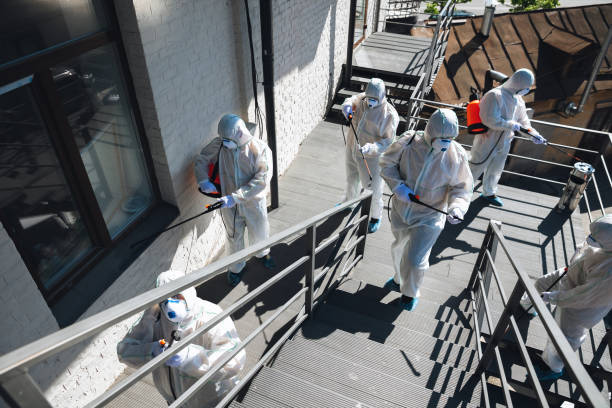Best Air Quality Testing for Mold Spores  in Greensboro, GA
