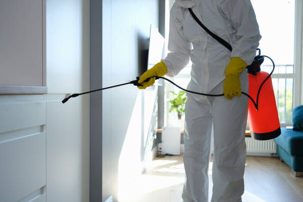 Best Airborne Mold Testing  in Greensboro, GA