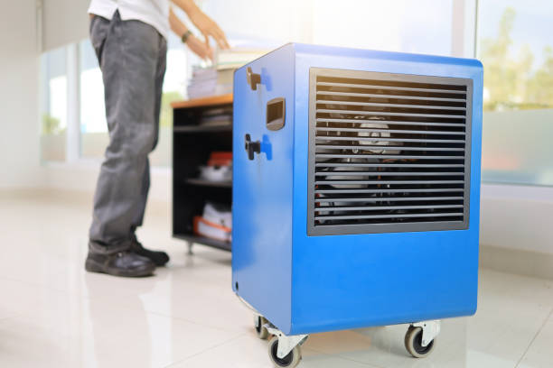  Greensboro, GA Mold Removal Pros