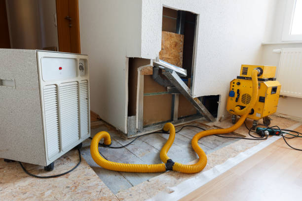 Environmental Consulting for Mold Prevention in Greensboro, GA