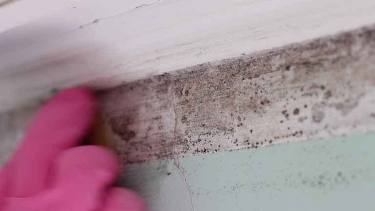 Best Mold-Related Health Consultation  in Greensboro, GA